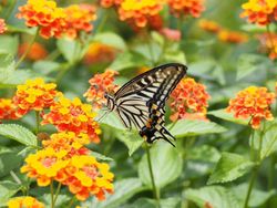 Concurso de fotografía de la EEA-AEMA 2022: 'Bien con la Naturaleza'