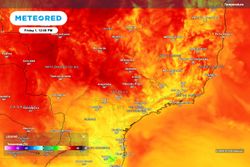 Condições climáticas no Sudeste favorecem a colheita, mas podem afetar a qualidade do café; entenda aqui