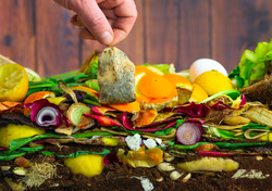 Convierte tu basura orgánica en oro para tus plantas: la guía para hacer composta casera sin malos olores