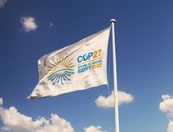 COP 27 : un sommet de plus, un an de moins pour agir !