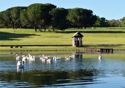 De Gándara a Villa Cacique: 4 escapadas a menos de 5 horas de Buenos Aires que no sabías que existían