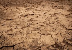 Deceptive droughts: heatwaves hotter but less lethal in dry conditions