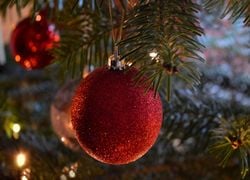 Et si vous passiez aux décorations écolo pour Noël ?
