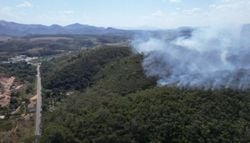 Incêndios florestais disparam e mobilizam bombeiros em SP, MG e ES