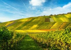 Das Wetter am langen Wochenende: Wo scheint die Sonne, wo fällt Regen?