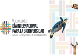 Día Internacional de la Diversidad Biológica 2025: 
