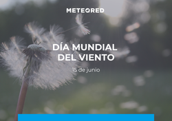 Día Mundial del Viento 2025: su importancia como fuente de energía renovable en el desarrollo sostenible