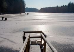 Die Ruhe vor der Extremkälte" Wettermann warnt: "Dieses Wochenende täuscht – danach rutschen wir in den Dauerfrost