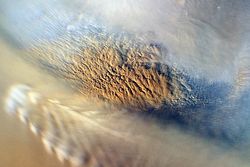 Diferencias polvorientas entre Marte y la Tierra