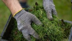 No lo tires: por qué los recortes de césped son más valiosos de lo que crees