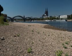 Dürre-Trend in Deutschland: Ist es jetzt schlimmer als 2003? Rhein fällt auf Rekord-Tief