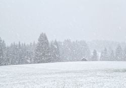 Ein Riss im Polarwirbel – und der Mildwinter ist Geschichte: So schnell kippt Deutschland in Eiseskälte und Schneechaos