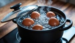 El agua de los huevos duros también sirve en el jardín: cómo usarla y qué plantas se benefician más