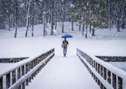 El amanecer nevado de este miércoles, 4 de febrero: últimos testimonios en la red social X