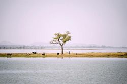 El estado del clima en África: el estrés hídrico y la falta de agua