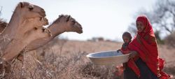 El Gran Cuerno de África enfrenta quinta temporada fallida de lluvias