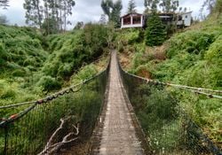 El impresionante puente colgante de Chiloé que debes cruzar al menos una vez: descubre el Parque Yayanes