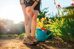 El método definitivo y natural, para ahuyentar a los mosquitos de tu terraza durante todo el verano