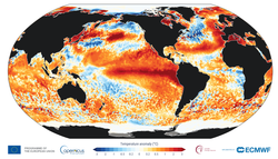 El Niño a-t-il marqué une pause ? Voici pourquoi cela ne remet pas en cause la survenue d’un phénomène très intense