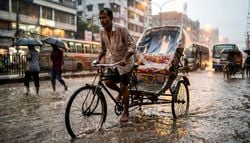 El Niño, hepatitis y cambio climático: la conexión invisible que puede enfermar a comunidades enteras