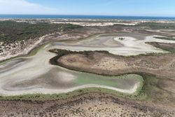 El parque nacional de Doñana se seca
