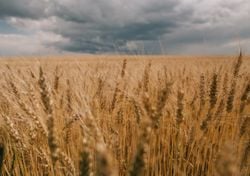 ¿Qué esperar del clima en el inicio de 2026 en Argentina?