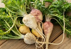 Emagrecer, desintoxicar e aumentar a libido: que alimento faz tudo isso?