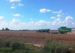 Entre excesos y demoras: qué puede pasar con la cosecha en Argentina si continúan las lluvias en abril