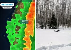 Este jueves y viernes la nieve visitará a la Región de Biobío, según Meteored