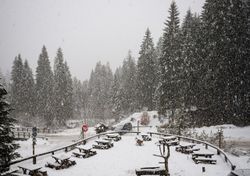 Novembre: finalmente torna la pioggia, neve sulle Alpi. Quando il freddo?