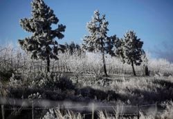 Frio congelante avança pelo Sul e Sudeste; veja até quando as temperaturas seguem caindo
