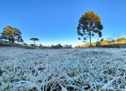 Frio não dá trégua! Previsão de geada até o fim de semana no Brasil
