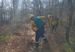 Incendios forestales se registraron en diversos sectores del estado de Oaxaca y ya están siendo controlados