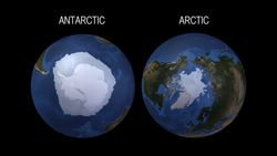 El hielo marino antártico y ártico: sus respuestas diferenciadas al cambio climático