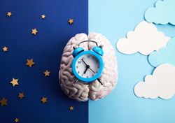 Hipótesis: "la mente después de medianoche", el cerebro se transforma