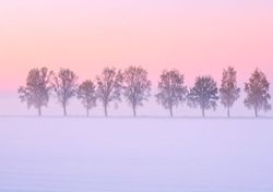 Il fascino di colori dei tramonti e delle albe invernali, perché sono così spettacolari e diversi da quelli estivi?