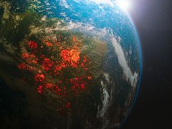 Incendios en el Amazonas, Siberia... ¿realmente fueron tan graves?