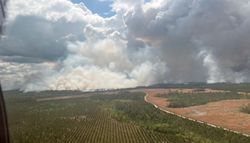 Incendios históricos causan devastación y daños con cientos de familias de evacuadas en Georgia, Estados Unidos