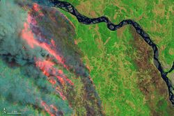 Incendios pavorosos en el centro-sur de Chile