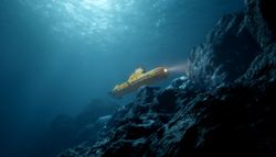 Incrível: foram descobertas mais de 1000 novas espécies no fundo dos nossos oceanos!