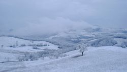 Inverno 2026-27 in Italia, arrivano nuovi segnali: la neve potrebbe estendersi su gran parte dell’Europa