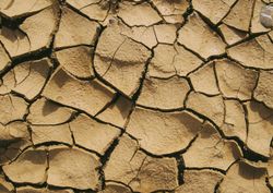 Grave siccità anche al Centro, stato di calamità naturale nel Lazio