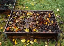 L'automne arrive et avec lui, voici ce que l'on peut faire au jardin