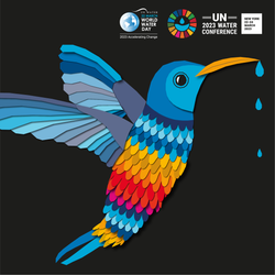 La Conferencia de las Naciones Unidas sobre el Agua
