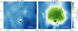 La erupción del volcán de Tonga estimula la vida marina