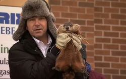 La muerte de la marmota eclipsa el Día de la Marmota de Canadá