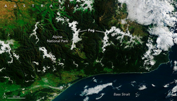 La NASA revela la belleza de las nubes de Australia con fotos satelitales que parecen piezas de museo