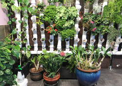 La técnica de riego sin intervención diaria que funciona sin electricidad: autorriego por capilaridad