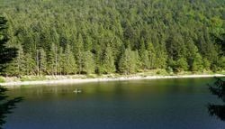 La razón por la que una experta francesa pide prohibir nadar en lagos de montaña este verano