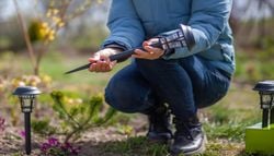 Las luces solares son la nueva opción favorita para decorar el jardín, pero pueden tener efectos nefastos en las plantas